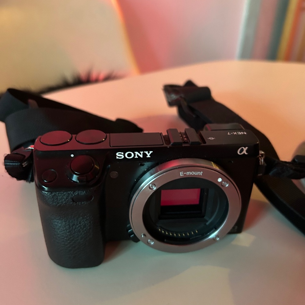 Sony NEX-7 camera body paired with a Sony E 18-200mm F3.5-6.3 OSS LE lens